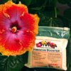 Hibiscus Booster