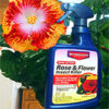 Bayer Rose & Flower Spray